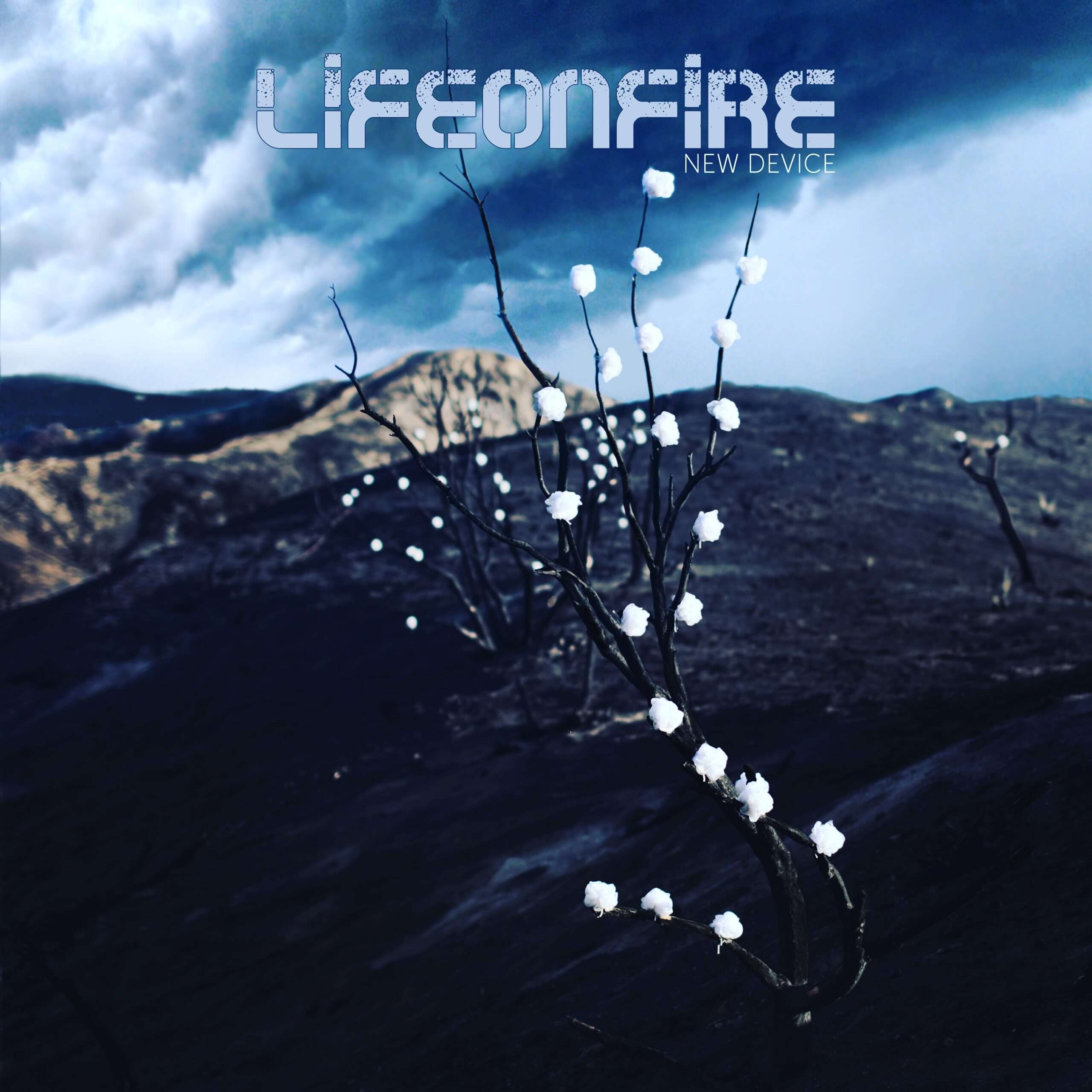 Life on Fire Album Cover